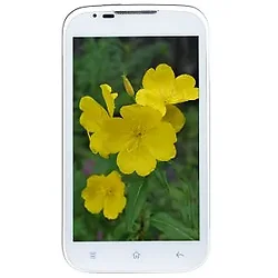 Brocade-NCES-4X-SVL-NDP-4