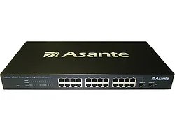 ASANTE-99-00828