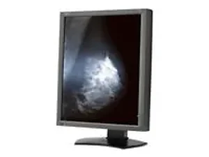 Sharp Nec MD211G5 21.3