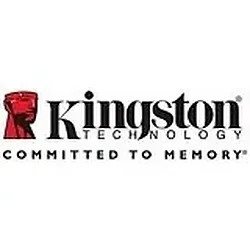 KINGSTON-SE50S37/100G