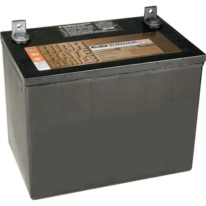 Tripp Lite 12V DC Sealed Maintenance-Free Battery 75Ah