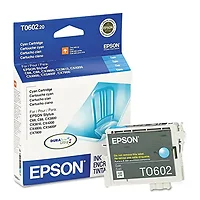 EPSON-T060220
