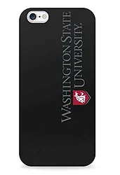 CENTON-IPH6CV1BM-WSU