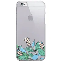 CENTON-IP6V1CLR-FLR-02