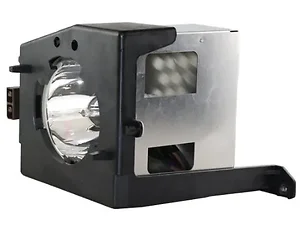 TB25-LMP-BTI | Battery Technology Genuine Replacement Lamp