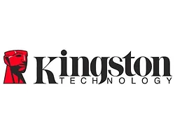 KINGSTON-KG-S284X