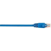 BLACK BOX CORPORATION-CAT6PC-020-BL