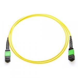 Axiom MPOFFSM12M-AX Mpo Female To Mpo Female Singlemode 9125 Fiber Opt