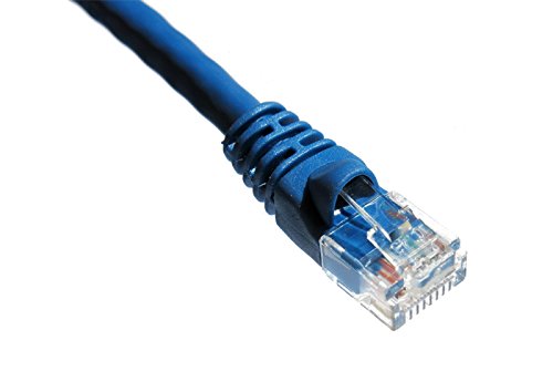 Axiom AXG94055 1ft Cat5e Cable (blue) - Taa