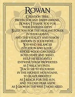 ENET-C19C20-20A-10F-ENC