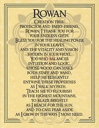 ENET-C19C20-20A-10F-ENC