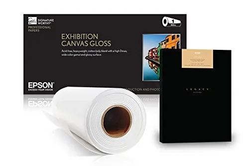 EPSON-S045519