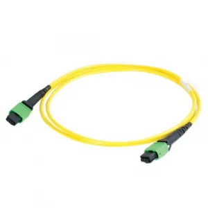 C2g 31405 50m Mtp 9125 Single Mode Os2 Fiber Cable