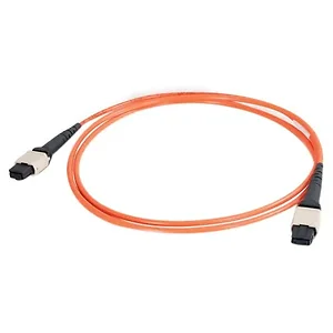 31468 | C2g 10m Plenum-Rated OM2 Multimode Fiber Optic Cable