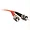 13583 | C2g OM1 Duplex Multimode Fiber Optic Cable, 9m, ST