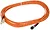13520 | C2g LC-SC OM1 Duplex Multimode Fiber Optic Cable