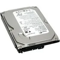 SEAGATE-ST3160215ACE