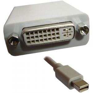 Xavier MDP-DVI 6 Mini Displayport Dvi F