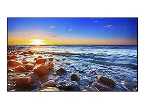 UN551S-TMX4P | Nec 55