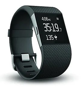 Fitbit Fitbit Surge Fitness Smartwatch - Small - Black