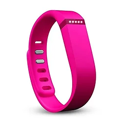 Fitbit-FB401RD