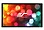 ER120WH1-A1080P3 | Elite Screens Sable Fixed Wall Screen