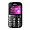 Blu BLU Joy J010 Unlocked 2G GSM Cell Phone - Black