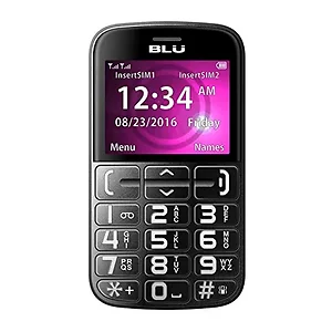 Blu BLU Joy J010 Unlocked 2G GSM Cell Phone - Black