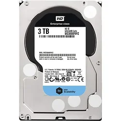 Western Digital-WD3000F9YZ