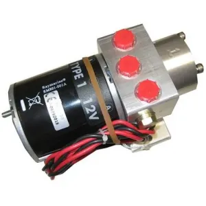 Raymarine M81120 Type 1 Pump 12v