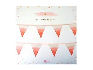 AF407 | Bulk Buys Ombre Pink Fabric Bunting for