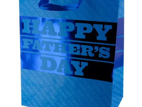 BG919 | Bulk Buys Elegant Small Blue Gift Bag for Father's
