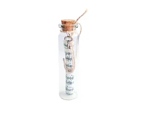 CS029 | Bulk Buys Decorative Music Message Bottle Craft Kit