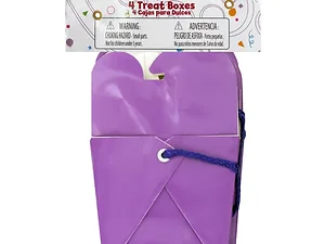 EL560 | Bulk Buys Purple Treat Boxes for Party Favors - Set