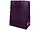 GH418 | Bulk Buys Elegant Plum Gift Bag for Any Occasion