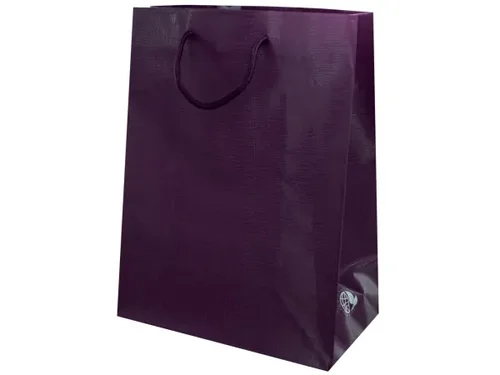 GH418 | Bulk Buys Elegant Plum Gift Bag for Any Occasion