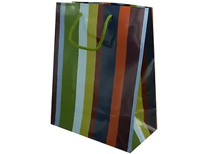 Bulk Buys Striped Gift Bag - 12.5 x 9.5 Inches for All