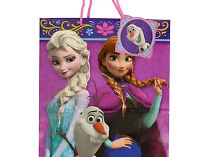 GH580 | Bulk Buys Disney Frozen Gift Bag with Floral Design