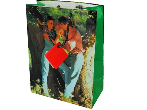 GL431 | Bulk Buys Charming Medium Gift Bag for All