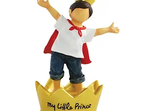 HG713 | Bulk Buys Charming My Little Prince Collectible