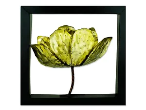 HW151 | Bulk Buys Framed 14-Inch Tulip Wall Art - Vibrant