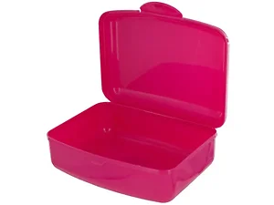 Bulk Buys Durable Snap Lid Lunch Box for Snacks and