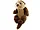 KT307 | Bulk Buys Charming Odina Otter Soft Plush Toy for