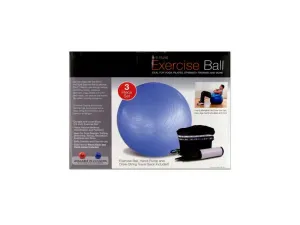 Bulk OB350 Exercise Ball With Pump