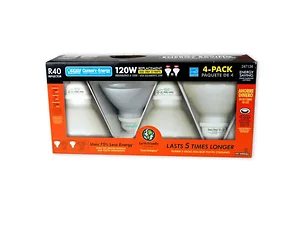 MT763 | Bulk Buys Feit Electric 23W Frosted Reflector Light