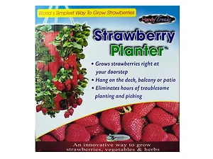 OB594 | Bulk Buys Elevated Hanging Strawberry Planter with