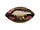 OC898 | Bulk Buys Official Utah Deflated Football for