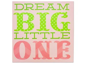 OL047 | Bulk Buys Inspire Kids Canvas Wall Art - Dream Big