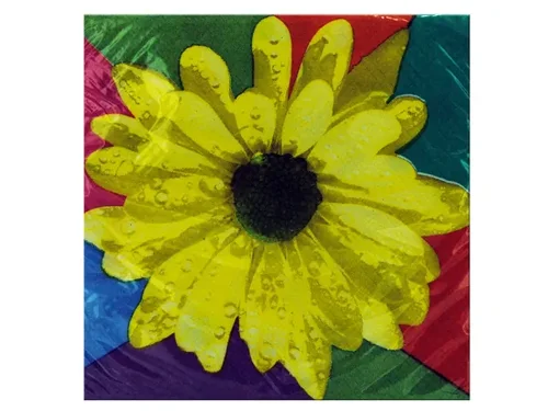 PA380 | Bulk Buys 16-Count Daisy Beverage Napkins for