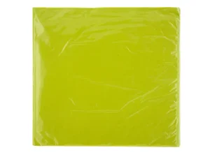 PB464 | Bulk Buys Kiwi Green 2-Ply Lunch Napkins - 16 Count